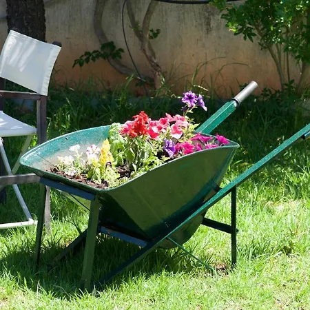 Sunnyside House Kefalonia * Livathos (Kefalonia)